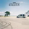 About Mary Jane Song