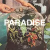About Paradise Song
