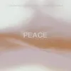 About Peace Song