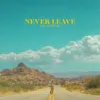 About Never Leave Song