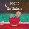 About Sogno Un'Estate Song