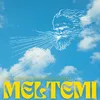 About MELTEMI Song