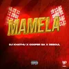 About Mamela Song