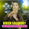 About Tanjung Mas Ninggal Janji Song