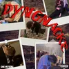 Dyngnacke