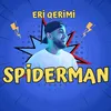 About Spiderman Song