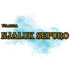 About Njaluk Sepuro Song