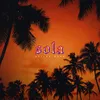 About SOLA Song