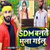 About SDM Bante Bhula Gailu Song