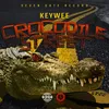 About Crocodile Street Song