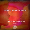 About Mjolo Skao Tshepa Song