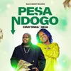 About Pesa Ndogo Song