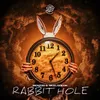 About Rabbit Hole Song