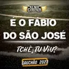 About É o Fábio do São José - Tchê, Tu Viu? Song