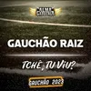 Gauchão Raiz - Tchê, Tu Viu?