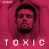 About Toxic Song