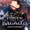 About A Punta De Balazos Song