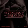 About Vivências de um malvadão Song