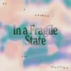 About In a Fragile State Song