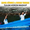 About Tulum Horon Mashup Song
