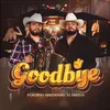 About Goodbye Song