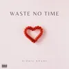 About Waste No Time Song