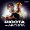 About Picota de Artista Song