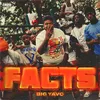 About Facts Song