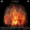 About BURN IT UP Song