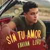 About Sin Tu Amor Song