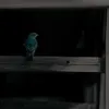 Piano Bird 1