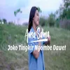 About Joko Tingkir Ngombe Dawet Song