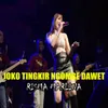 About Joko Tingkir Ngombe Dawet Song