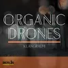 Organic Drones 01