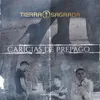 About Caricias De Prepago Song