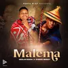 About Malema Song