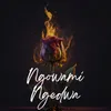 About Ngowami Ngedwa Song