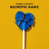 About Ngimephi Nawe Song