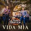 About Vida Mía Song