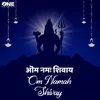 Om Namah Shivay