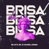 About Ela Brisa Song