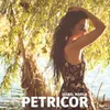 About Petricor Song