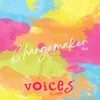 About Changemaker Song