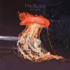 About Medusa Song