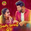 About Nalugu Galare Chori Song