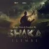 About Shaka iLembe (Interlude) Song