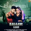 About Badaami Rang Song