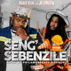 Seng Sebenzile