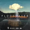 About Floodgates Song