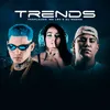 About Trends Song